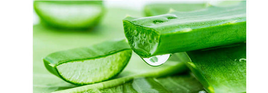 MISSHA Premium Cica Aloe Soothing Gel 300ml