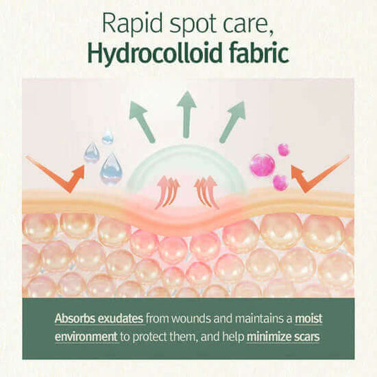 Pyunkang Yul Clear Spot Patch 72pcs