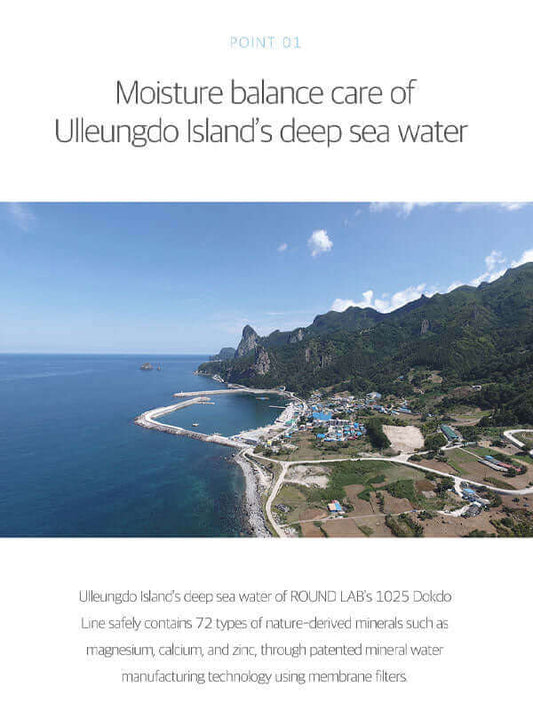 Round Lab 1025 Dokdo Bubble Foam 150ml