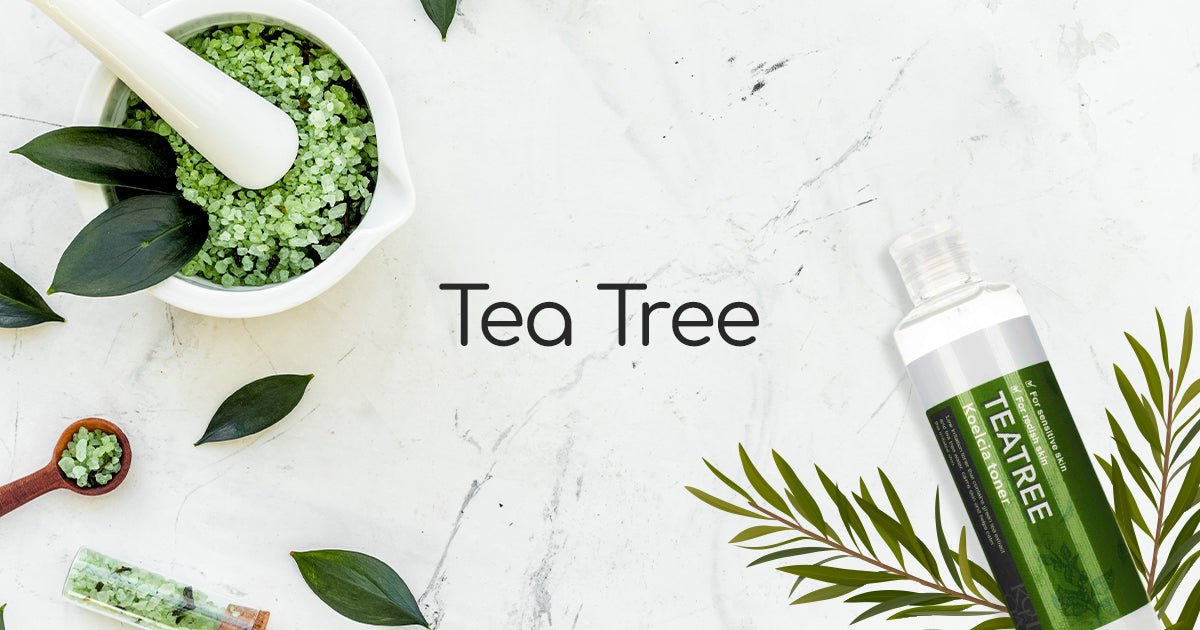 Best Korean Tea Tree Skincare Products - Lakinza K-beauty