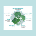 APIEU Madecassoside Tetrasome Cica Toner 300ml