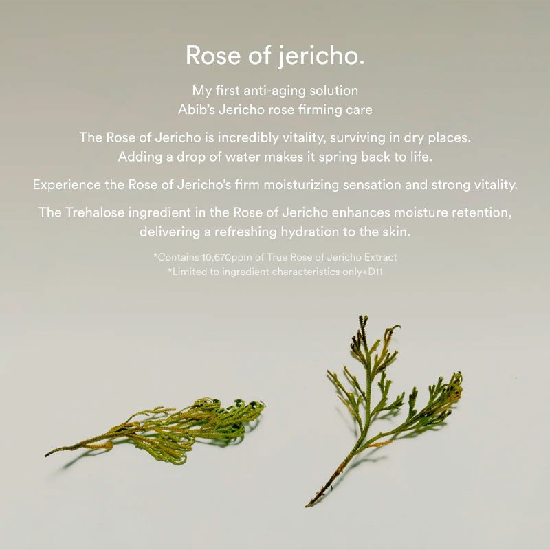 Abib Jericho Rose Collagen Pad Firming Touch 250ml / 60pads Lakinza K-beauty