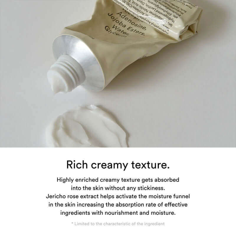 Abib Jericho Rose Creme Nutrition Tube 75ml Lakinza K-beauty