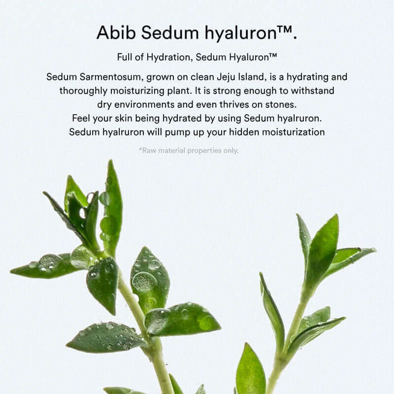 Abib Sedum Hyaluron Pad Hydrating Touch 165ml / 60pads Lakinza K-beauty