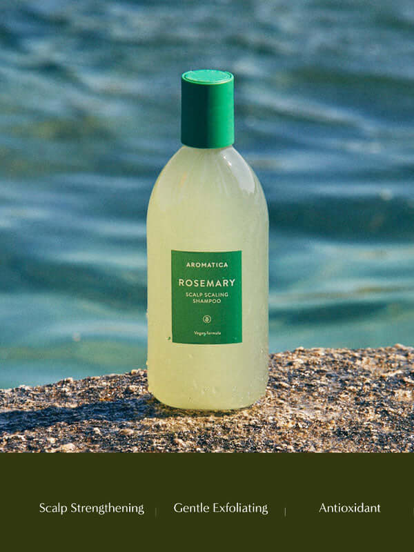 Aromatica Rosemary Scalp Scaling Shampoo 400ml Lakinza K-beauty