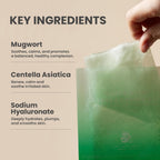 Axis - y Mugwort Green Vital Energy Complex Sheet Mask 27ml | Lakinza K - beauty Canada
