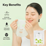 Beauty of Joseon Centella Asiatica Calming Mask 25ml Lakinza K-beauty