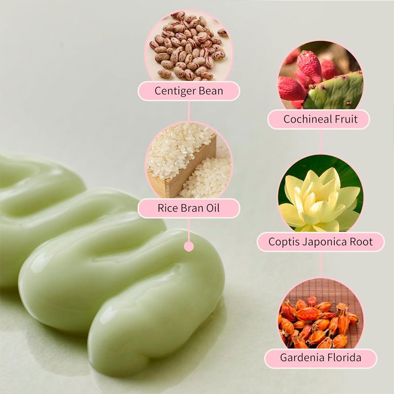 Beauty of Joseon Jelloskin Massage Cream for Face and Body 200ml Lakinza K-beauty
