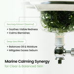 Biodance Refreshing Sea Kelp Real Deep Mask 34g Lakinza K-beauty