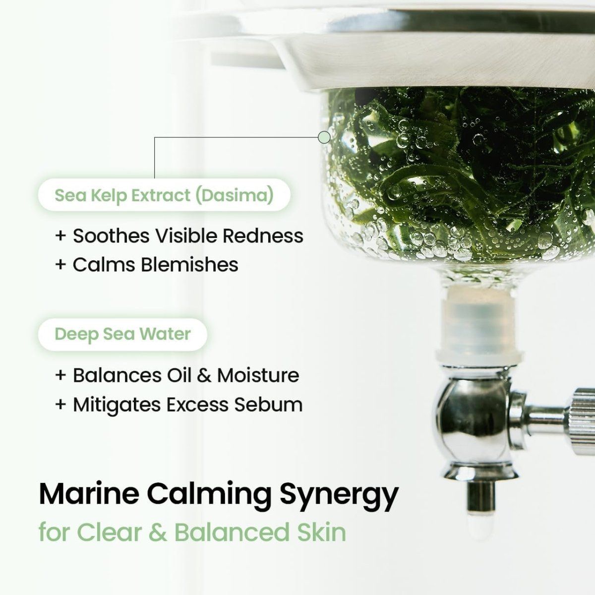 Biodance Refreshing Sea Kelp Real Deep Mask 34g Lakinza K-beauty
