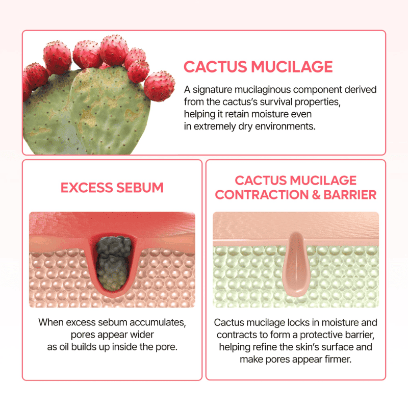 Dr.Melaxin Cactox Pore Relief Dual Capsule Cream 65g Lakinza K-beauty