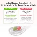 Dr.Melaxin Cactox Pore Relief Dual Capsule Cream 65g Lakinza K-beauty