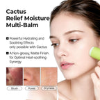Dr.Melaxin Cactox Pore Relief Multi Balm 25 | Lakinza K-beauty Canada