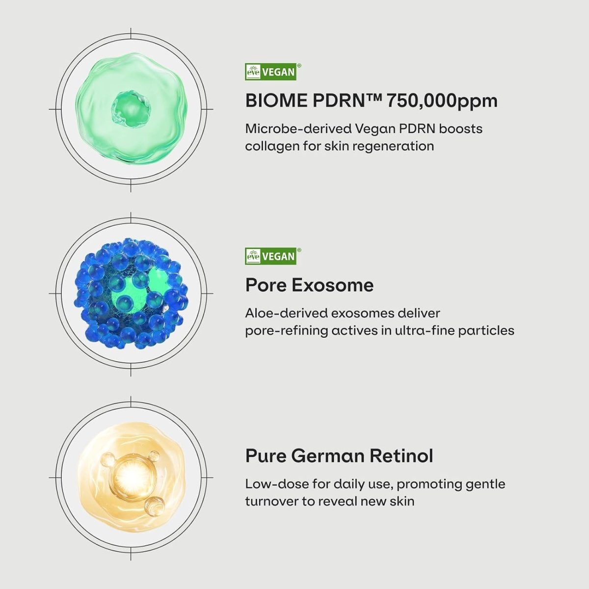 Dr.nineteen PoreXsome ReDRN Exosome Ampoule 15ml*2ea Lakinza K-beauty