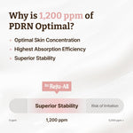 Dr.Reju-All Advanced PDRN Rejuvenating Cream 20g Lakinza K-beauty