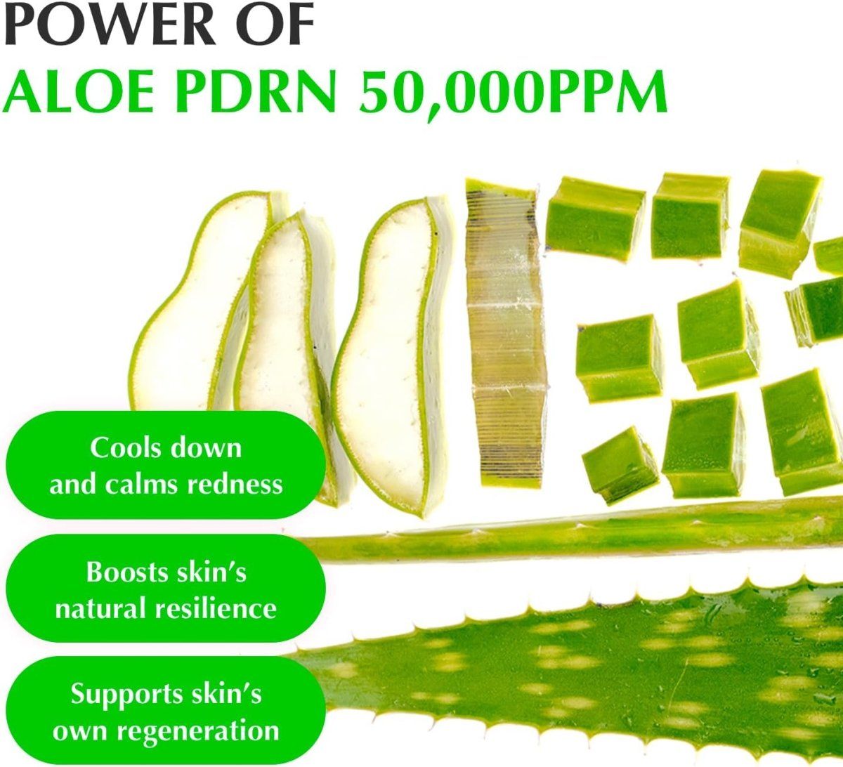 Eqqualberry Aloe PDRN Calming Serum 30ml Lakinza K-beauty