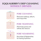 Eqqualberry Purple Rice Pore Smoothing Cleansing Oil 200ml | Lakinza K - beauty Canada