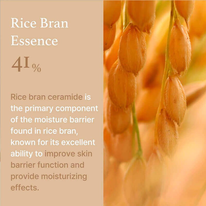 I'm From Rice Cream 50g Lakinza K-beauty