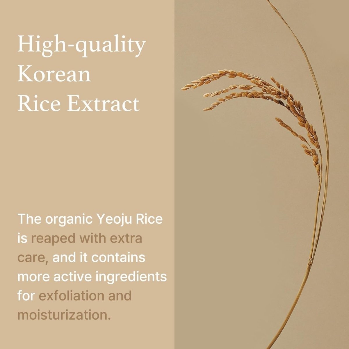 I'm from Rice Sheet Mask 20ml Lakinza K-beauty