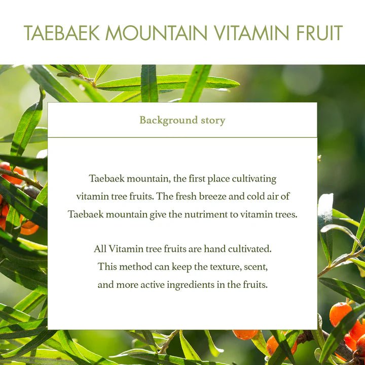 I'm from Vitamin Tree Sheet Mask 22ml Lakinza K-beauty