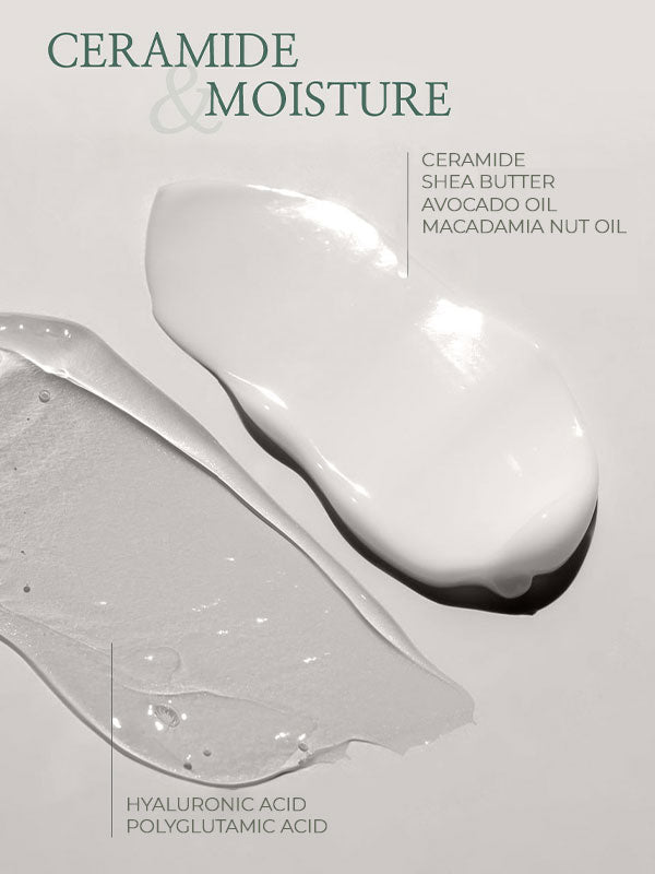 Medi Flower Niccia Hand Cream Set 50g*5 | Lakinza K - beauty Canada