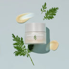 MISSHA Artemisia Calming Moisture Cream 50ml | Lakinza K - beauty Canada