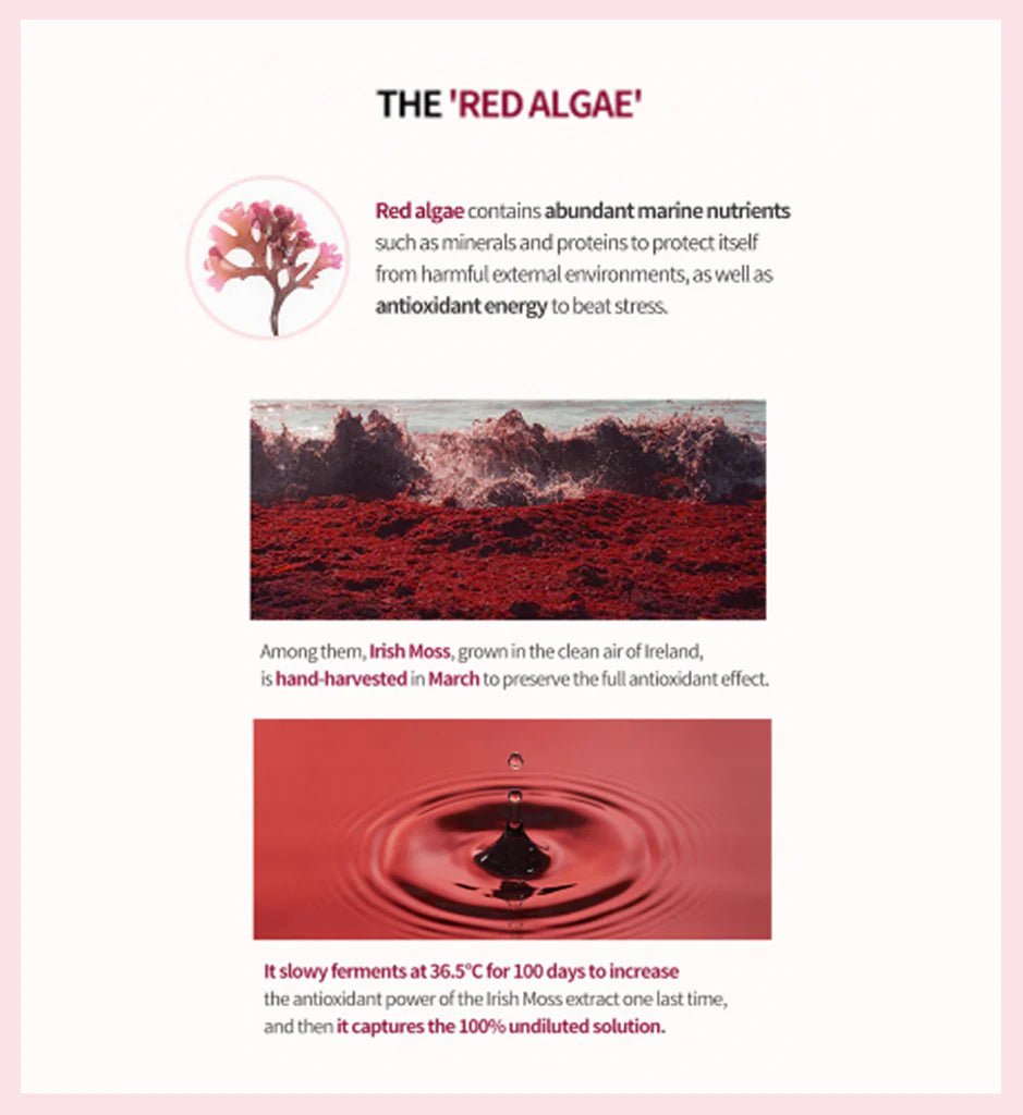 MISSHA Time Revolution Red Algae Revitalizing Cream 50ml Lakinza K-beauty