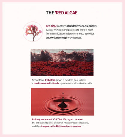 MISSHA Time Revolution Red Algae Revitalizing Cream 50ml | Lakinza K - beauty Canada
