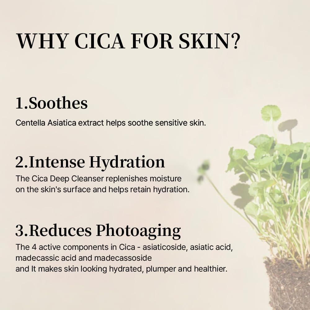 Mixsoon Soondy Centella Asiatica Essence 100ml | Lakinza K - beauty Canada
