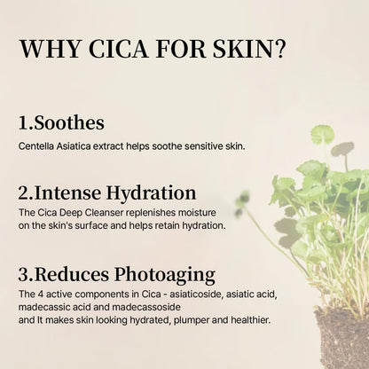 Mixsoon Soondy Centella Asiatica Essence 100ml | Lakinza K - beauty Canada
