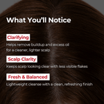 MOEV Scalp Clarifying Shampoo 500ml Lakinza K-beauty