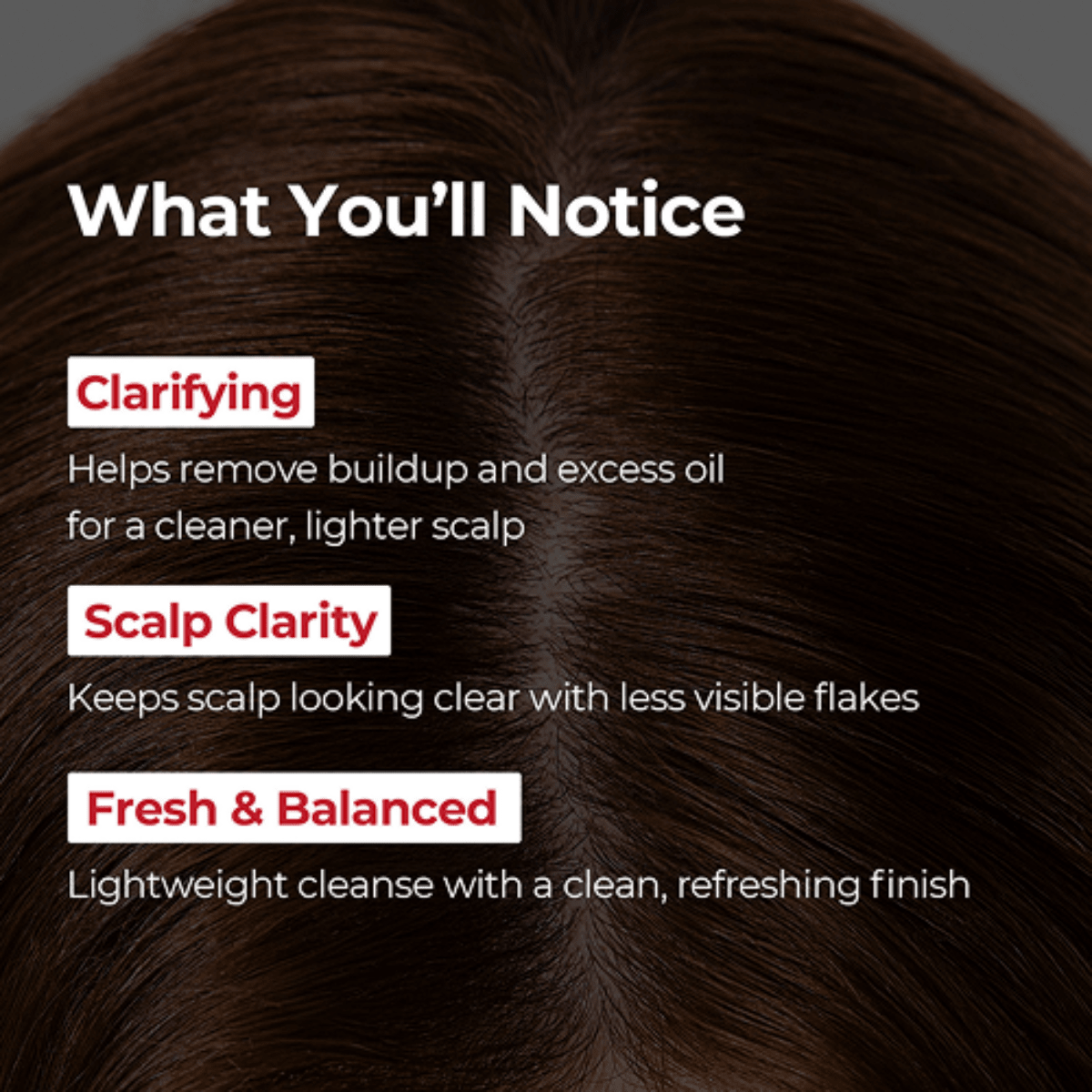 MOEV Scalp Clarifying Shampoo 500ml Lakinza K-beauty