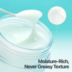Numbuzin No.1 Pantothenic B5 Active Soothing Cream 80ml | Lakinza K - beauty Canada