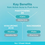 Numbuzin No.1 Pantothenic B5 Hyaluronic Active Clear Mask Lakinza K-beauty