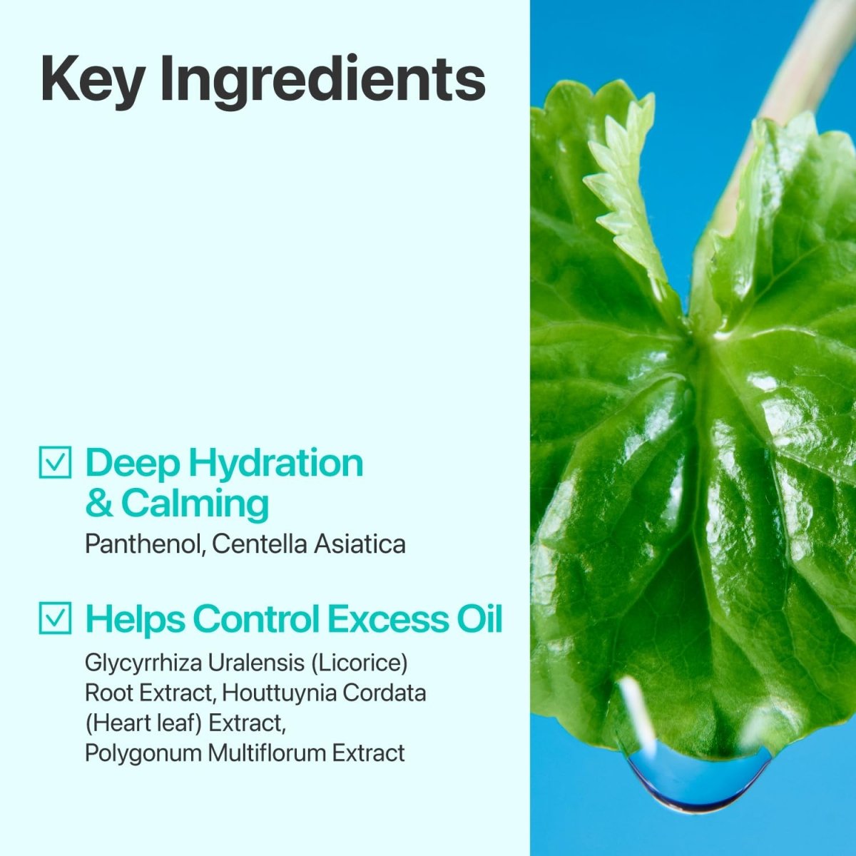numbuzin No.1 Pure - Full Calming Herb Toner 300ml | Lakinza K - beauty Canada