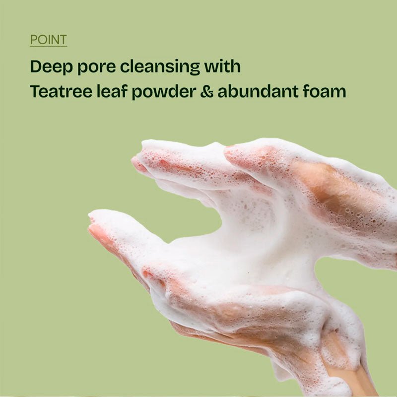 Orien Mugwort Zero Film Cleansing Foam 150ml | Lakinza K - beauty Canada