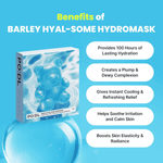 PO:DL Barley Hyal-Some HydroMask 36g Lakinza K-beauty