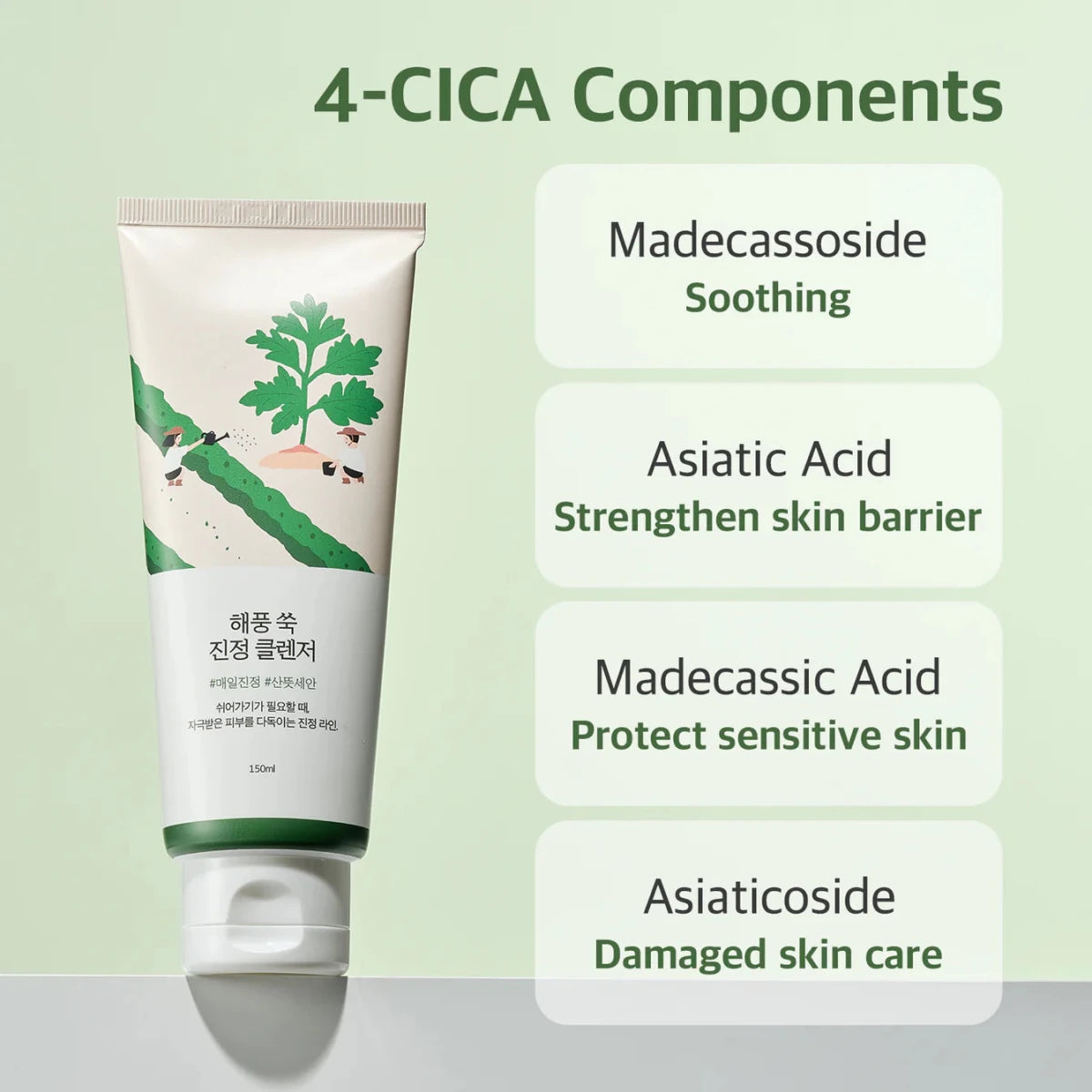 Round Lab Mugwort Calming Cleanser 150ml | Lakinza K - beauty Canada