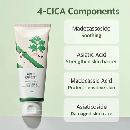 Round Lab Mugwort Calming Cleanser 150ml | Lakinza K - beauty Canada