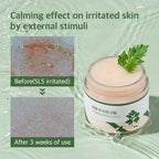 Round Lab Mugwort Calming Cream 80ml | Lakinza K - beauty Canada