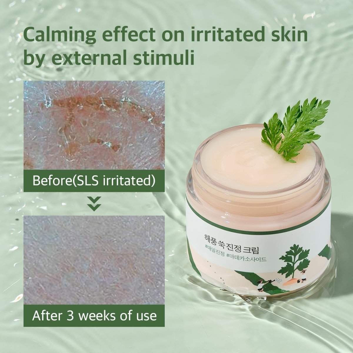 Round Lab Mugwort Calming Cream 80ml | Lakinza K - beauty Canada