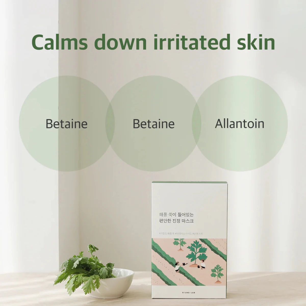 Round Lab Mugwort Calming Mask 25ml | Lakinza K - beauty Canada