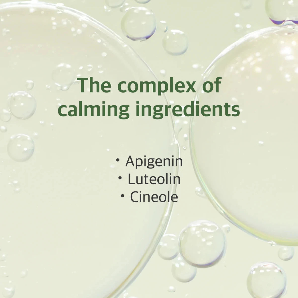 Round Lab Mugwort Calming Serum 50ml | Lakinza K - beauty Canada