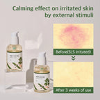 Round Lab Mugwort Calming Serum 50ml | Lakinza K - beauty Canada