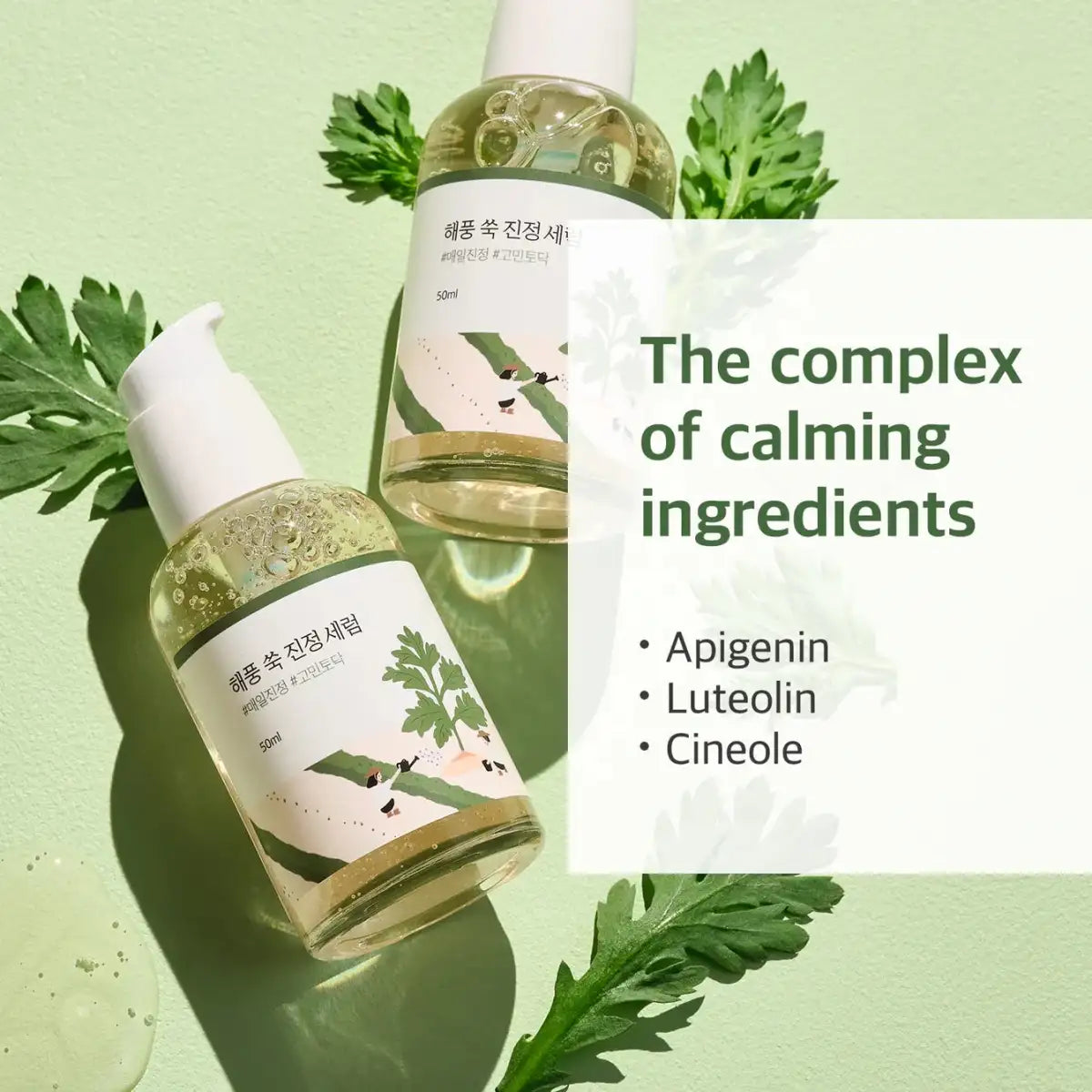 Round Lab Mugwort Calming Serum 50ml Lakinza K-beauty