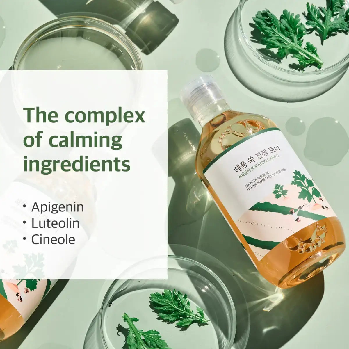 Round Lab Mugwort Calming Toner 300ml Lakinza K-beauty