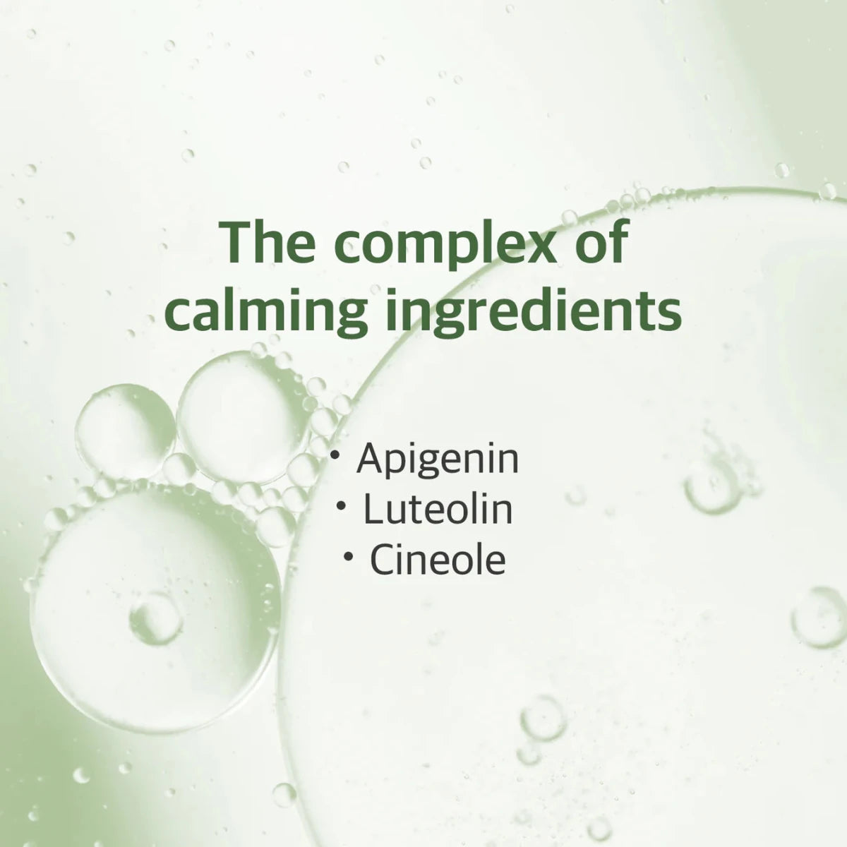 Round Lab Mugwort Calming Toner 300ml | Lakinza K - beauty Canada