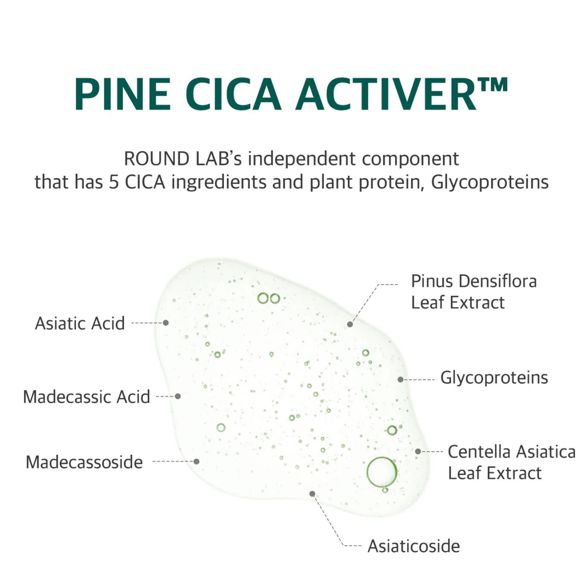 Round Lab Pine Calming Cica Pad 50pads | Lakinza K - beauty Canada