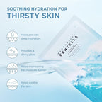 SKIN1004 Madagascar Centella Hyalu - Cica Hydrating Mask 23ml | Lakinza K - beauty Canada