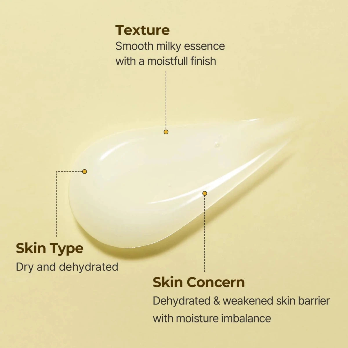 Torriden Solid - In All Day Essence 100ml | Lakinza K - beauty Canada